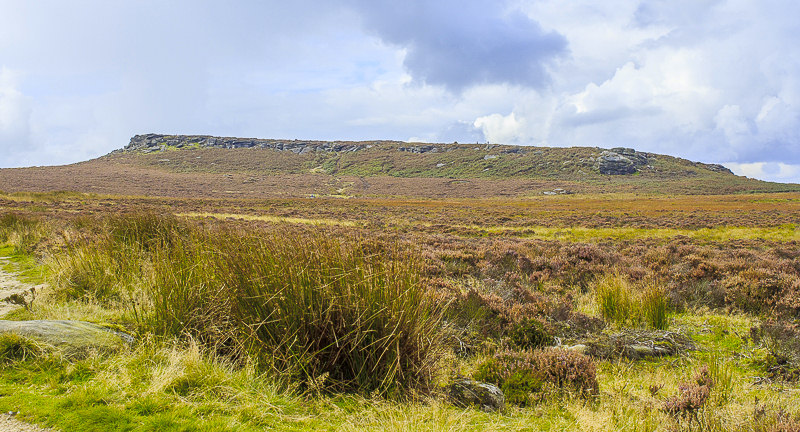 Cowper Stone
